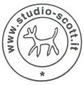 Studio Scott logo